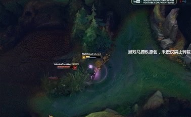 提莫打野